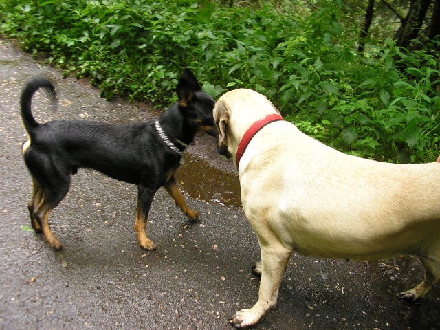 Matýsek a Terezka